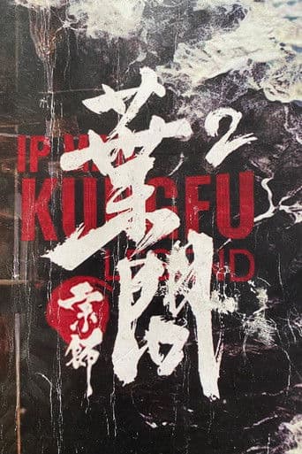 宗师叶问2